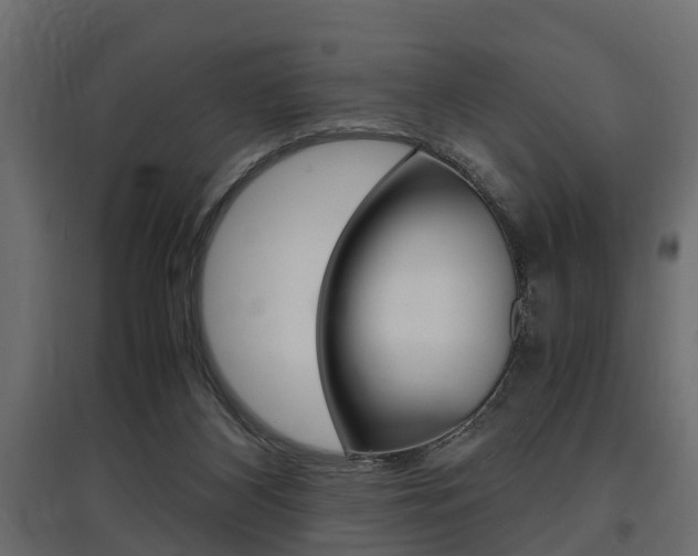 X0000097760116200803070846