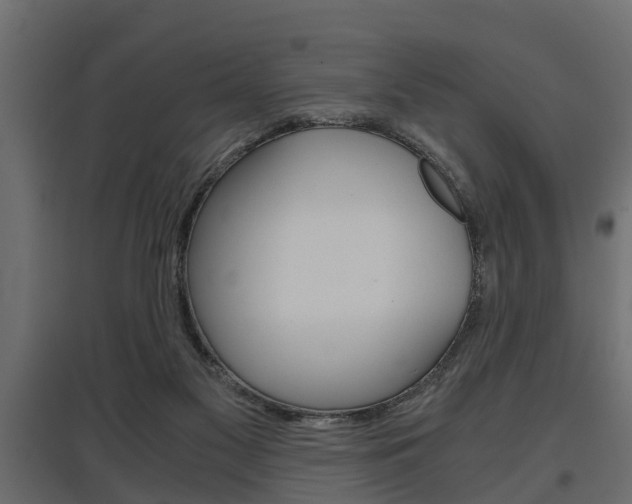 X0000097760117200803070846