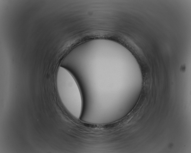 X0000097760119200803070846