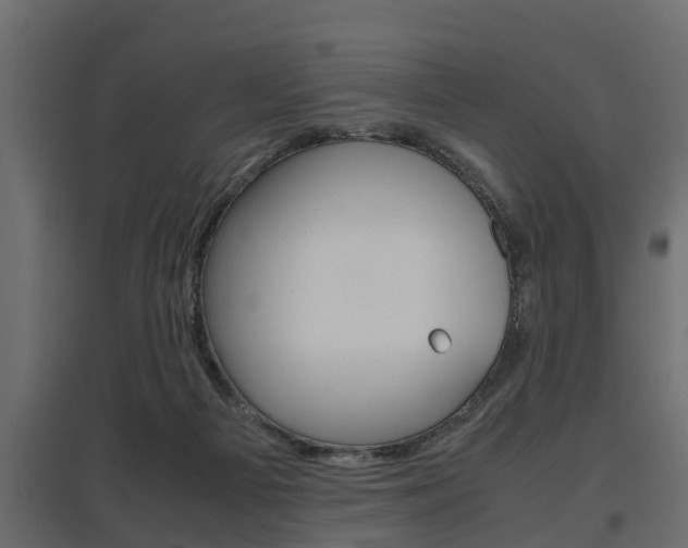 X0000097760121200803070846