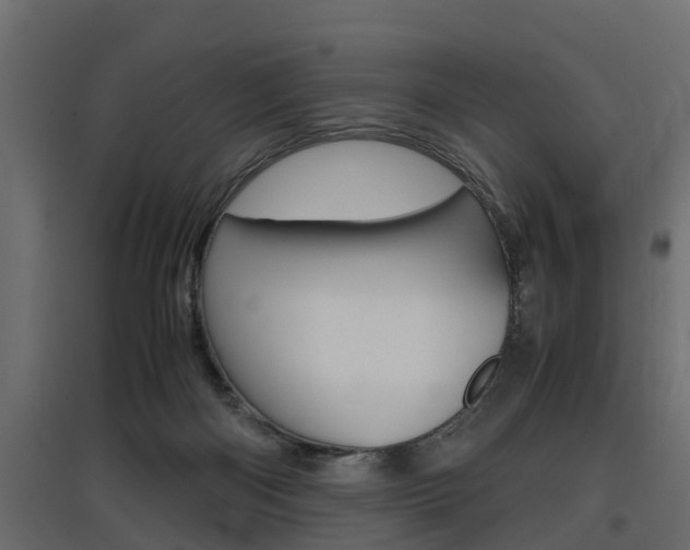 X0000097760122200803070846