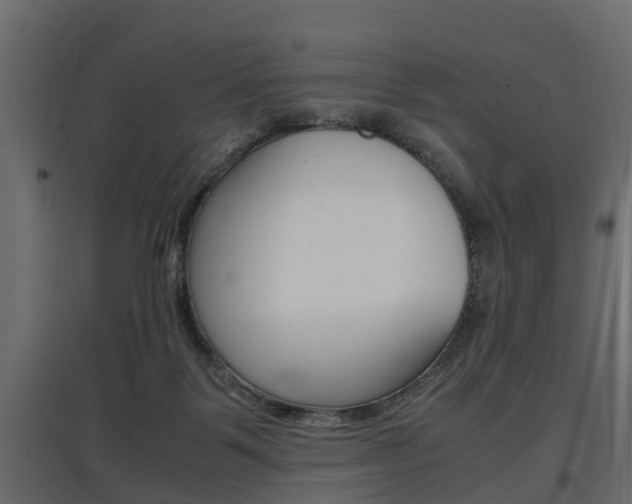 X0000097760123200803070846