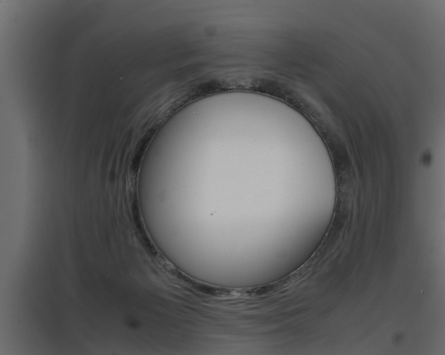 X0000097760125200803070846
