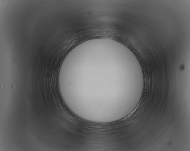 X0000097760128200803070846