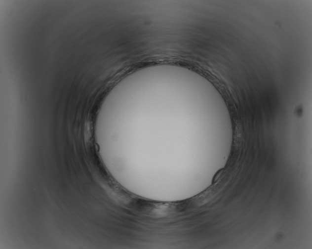 X0000097760130200803070845