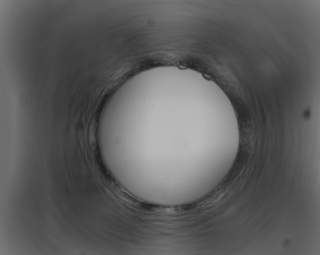 X0000097760131200803070845
