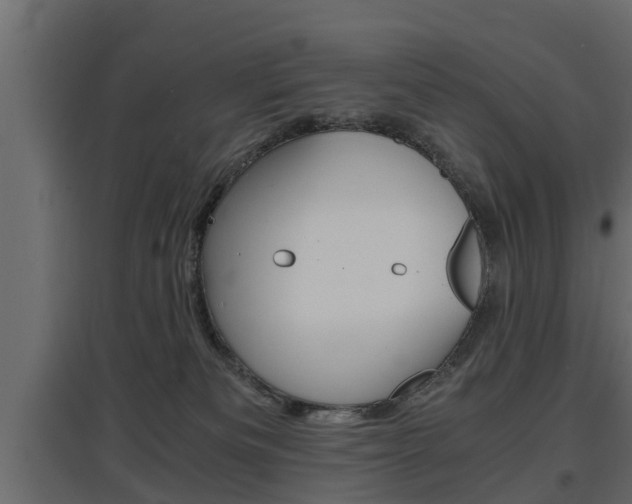 X0000097760133200803070845