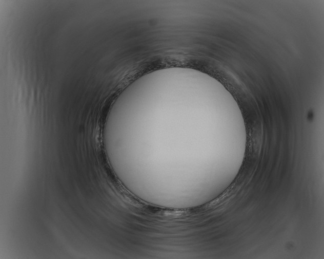 X0000097760134200803070845