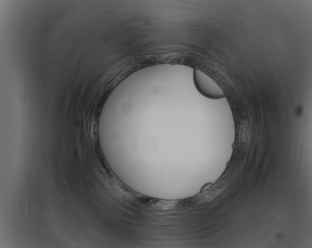 X0000097760138200803070845