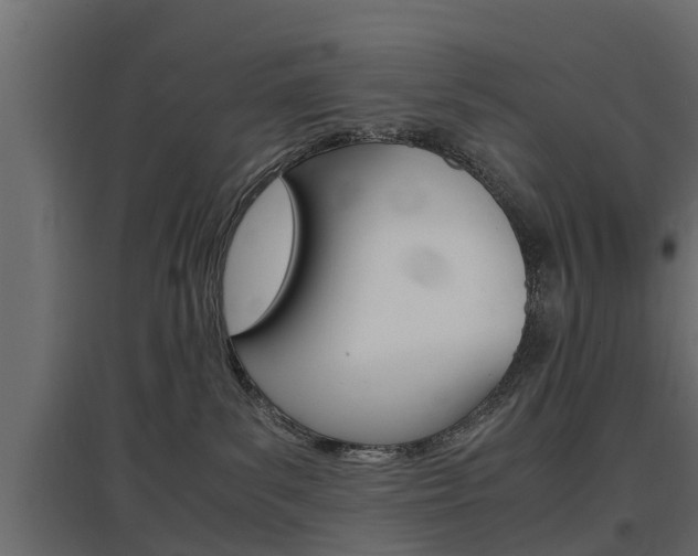 X0000097760139200803070845