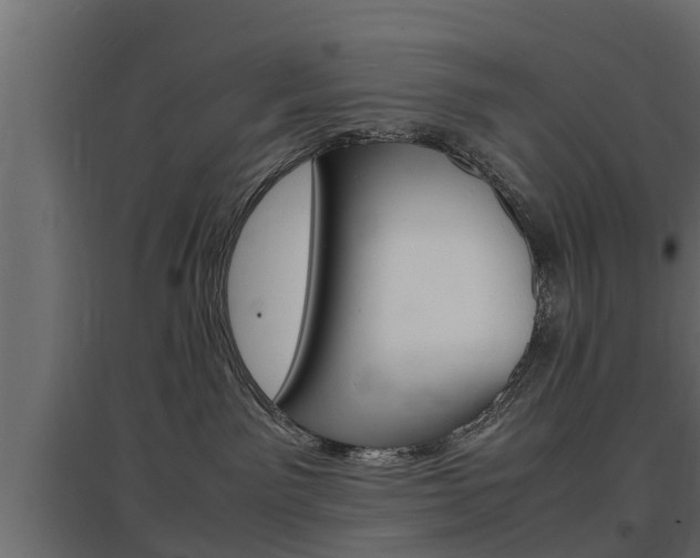 X0000097760141200803070845