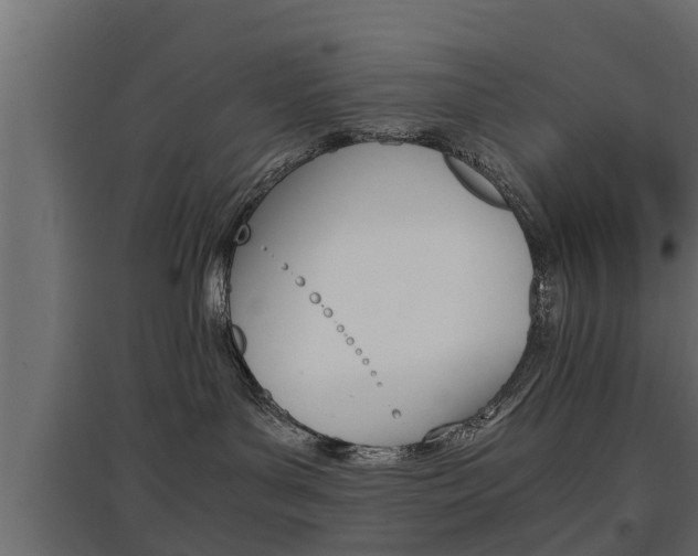X0000097760143200803070845