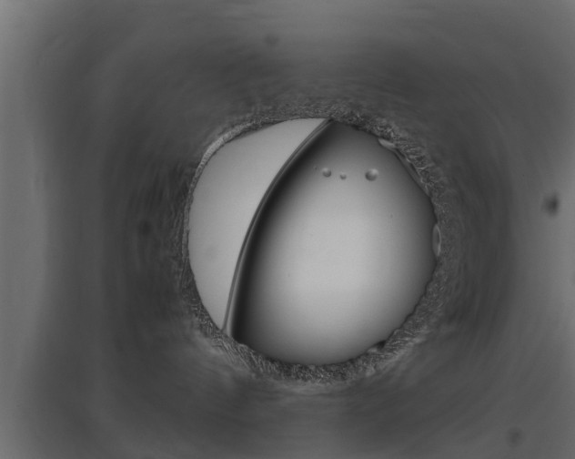X0000097760144200803070845