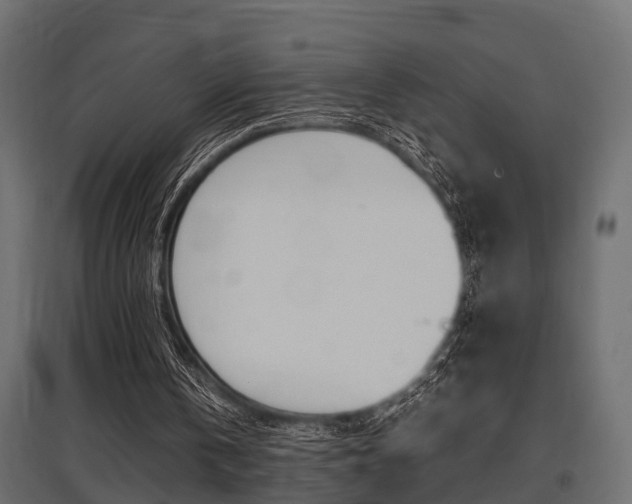 X0000097760146200803070844