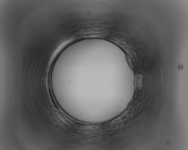 X0000097760147200803070844