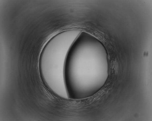 X0000097760148200803070844