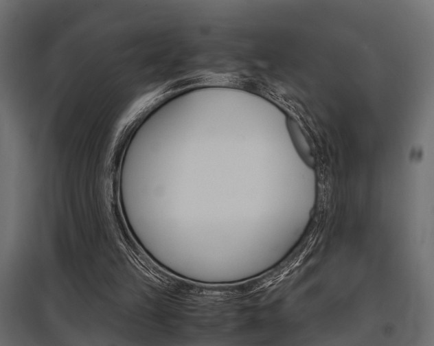 X0000097760149200803070845