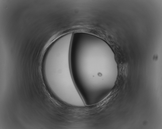 X0000097760150200803070845