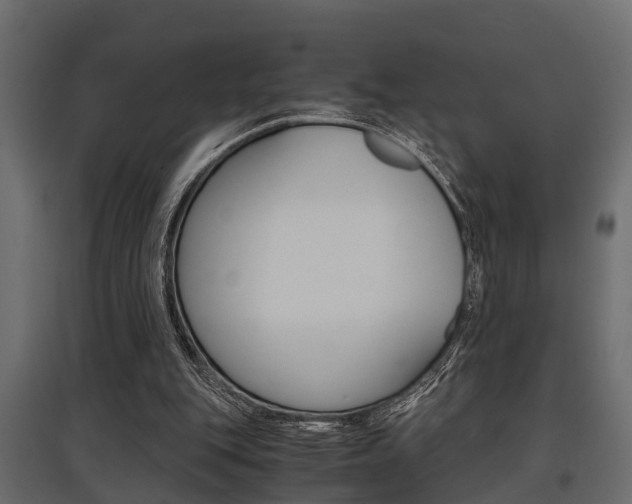 X0000097760151200803070845