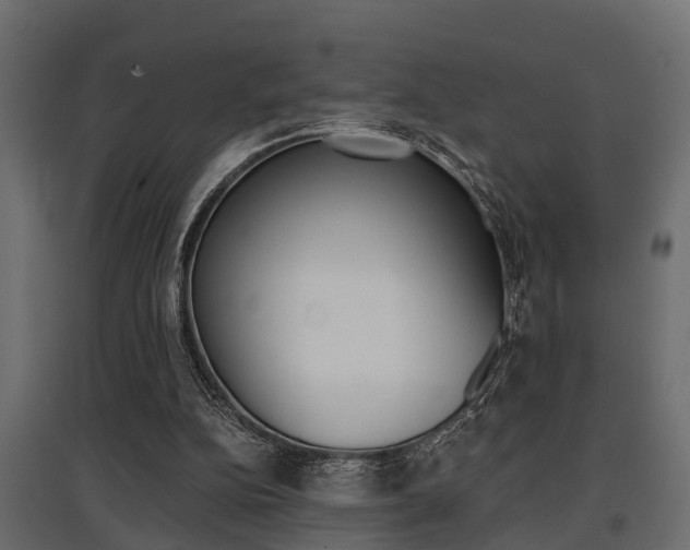 X0000097760152200803070845