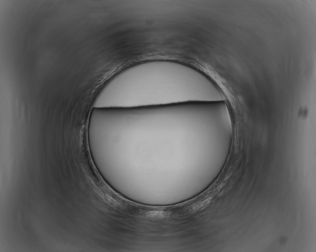 X0000097760153200803070845