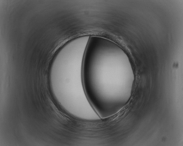 X0000097760154200803070845