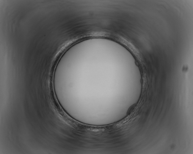 X0000097760155200803070845