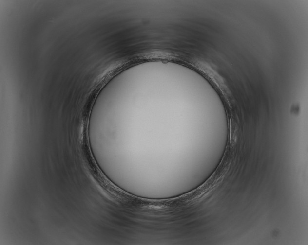 X0000097760157200803070845