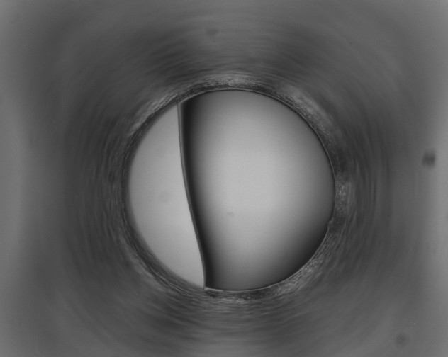 X0000097760158200803070845