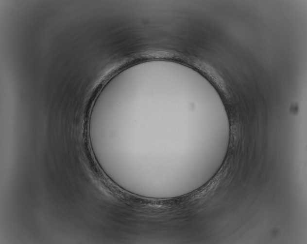 X0000097760159200803070845