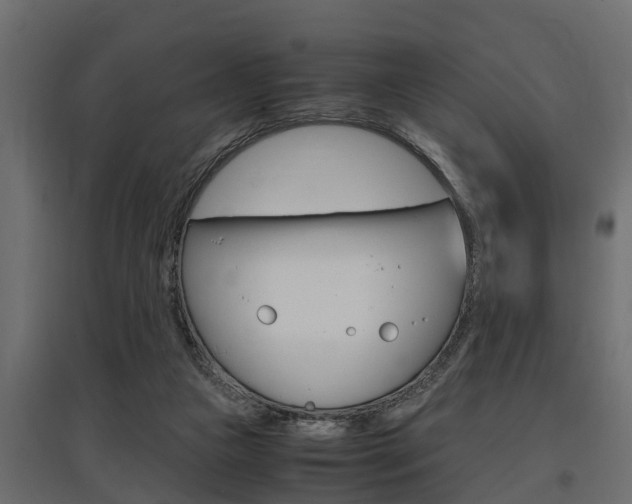 X0000097760161200803070845