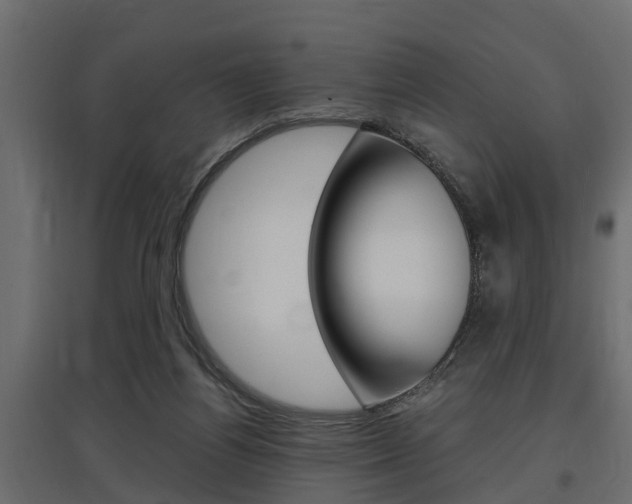 X0000097760164200803070845