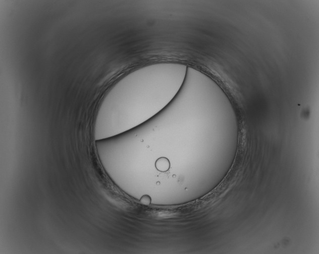 X0000097760165200803070845