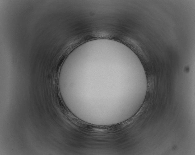 X0000097760167200803070845