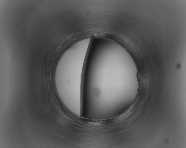 X0000097760170200803070845