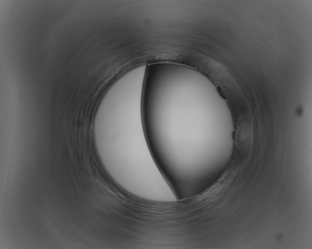 X0000097760172200803070845