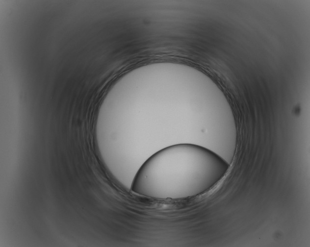 X0000097760174200803070845