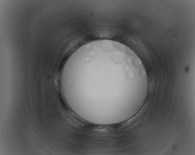 X0000097760175200803070845