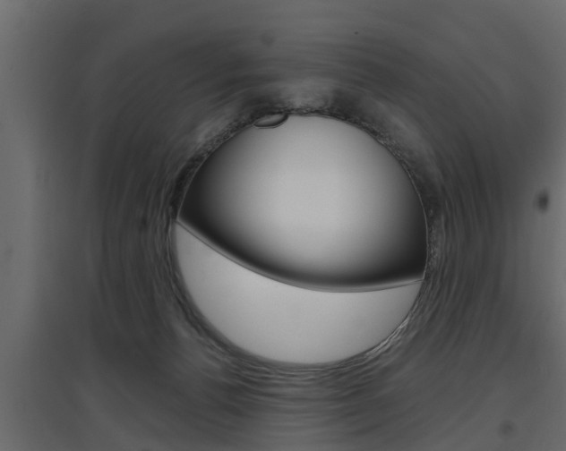 X0000097760176200803070845