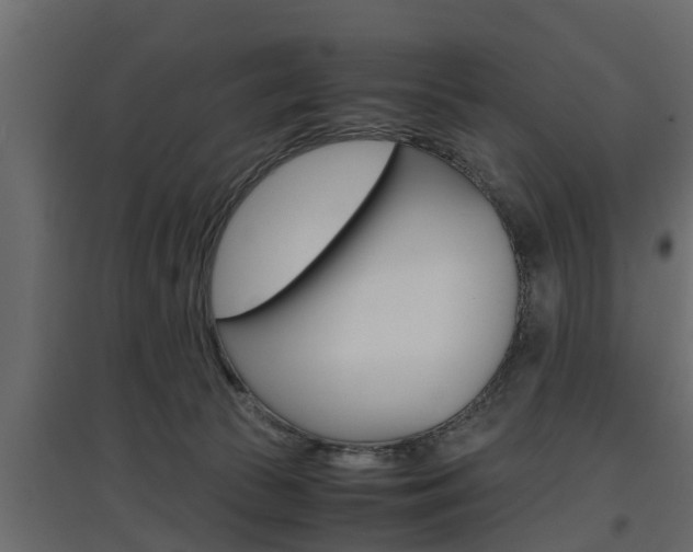 X0000097760177200803070845