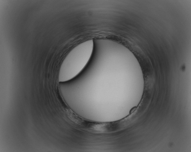 X0000097760178200803070845