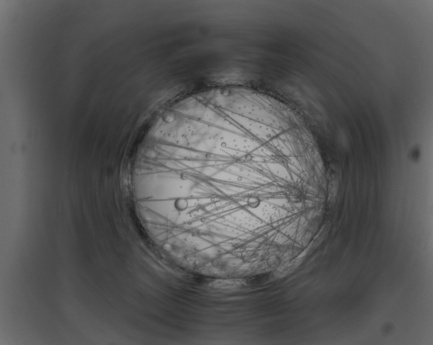 X0000097760179200803070845
