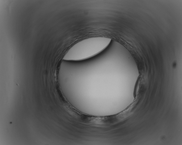 X0000097760182200803070845