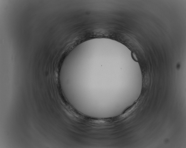 X0000097760183200803070845
