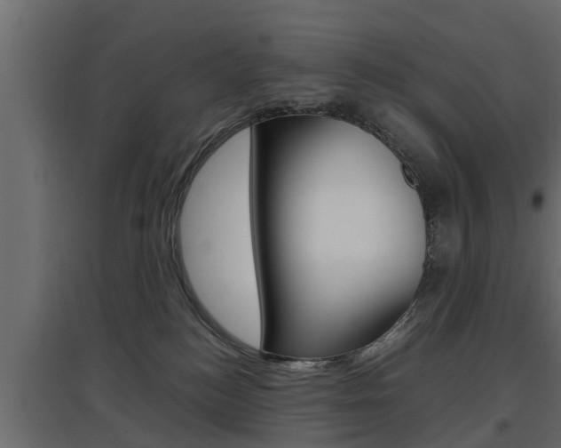 X0000097760184200803070845
