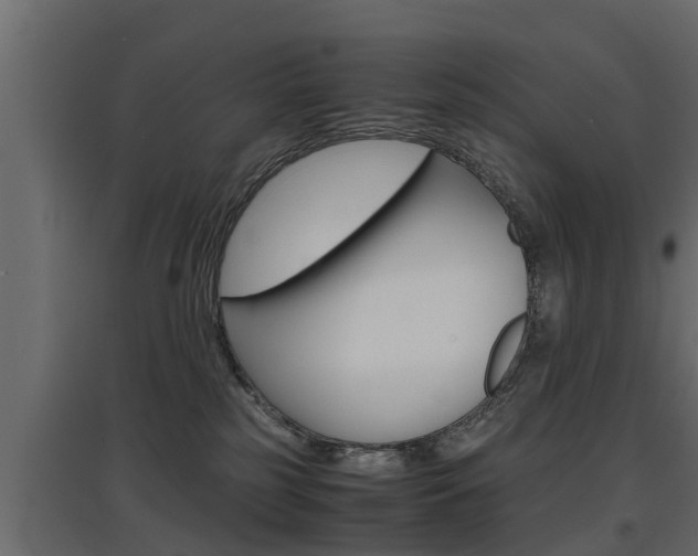 X0000097760185200803070845