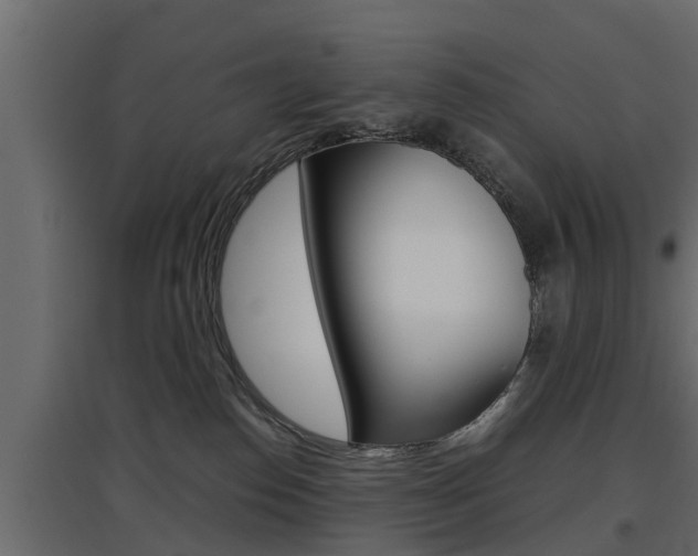 X0000097760186200803070845