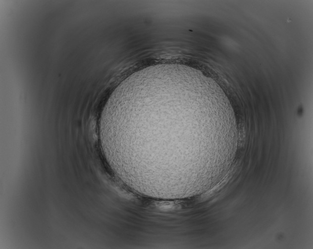 X0000097760187200803070845