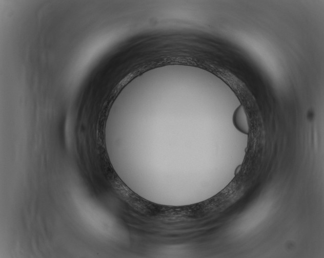 X0000097760189200803070845