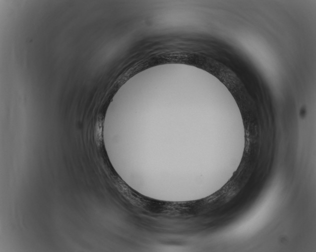 X0000097760190200803070845